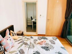 Ascent @ 456 (D12), Apartment #610415751